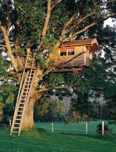 Casa na Árvore para Crianças