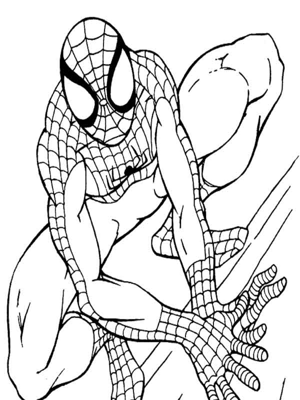 Desenhos pintar Homem Aranha Marvel