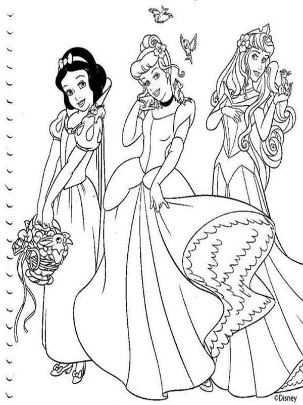 Desenhos para pintar Princesas