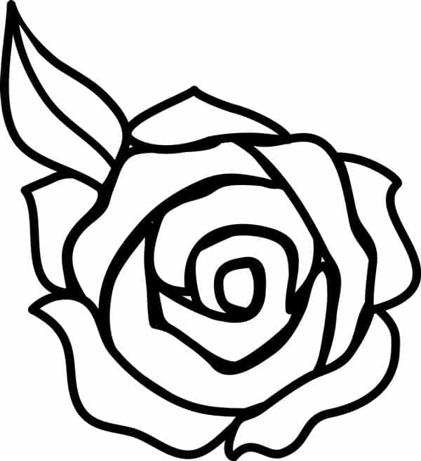 Desenho simples para colorir de flores, fácil de colorir, muito espaço em  branco · Creative Fabrica