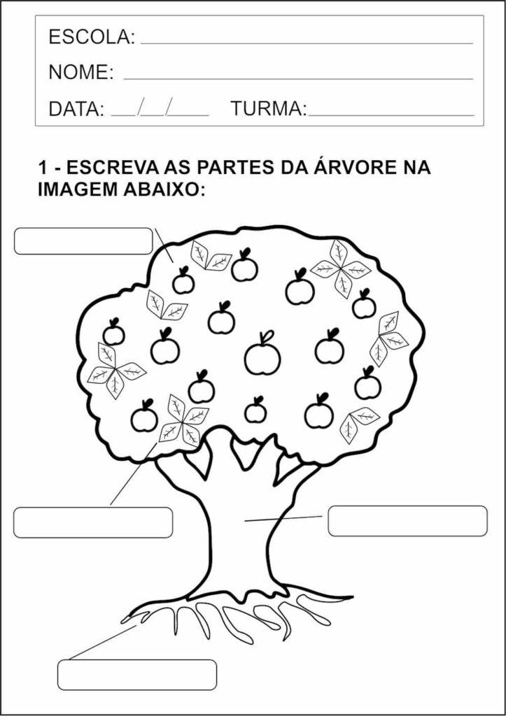 atividade de colocar nome nas partes da arvore