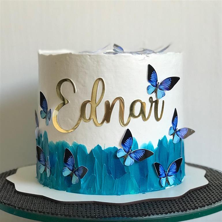 bolo de borboleta aniversário