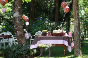 Decoração de Festa Infantil ao Ar Livre  111
