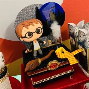 festa harry potter masculino